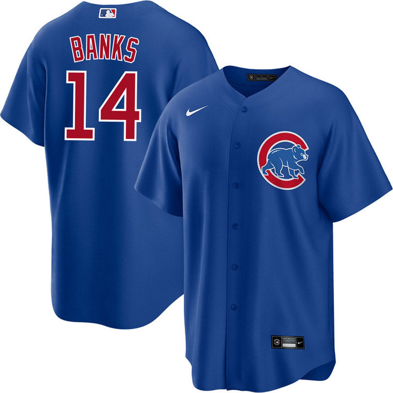 Men's Chicago Cubs Ernie Banks Replica Alternate Jersey - Royal